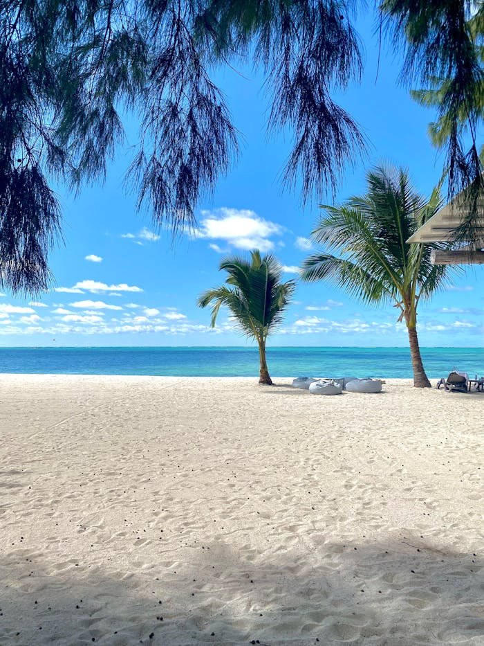 Beautiful beach view in Mauritius with palm trees and clear blue ocean.